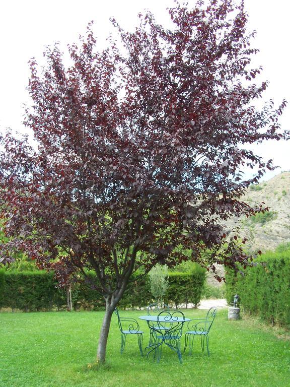 Apartamentos Casa Esperanza - Ordesa Laspuña Dış mekan fotoğraf